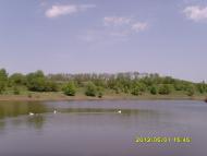 Сонячне з panoramio.com