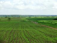 Гірське з panoramio.com