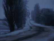 Серкізів з panoramio.com