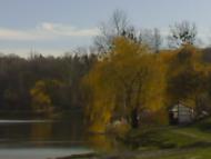 Федорівка з panoramio.com