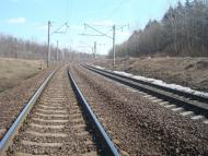 Коричинці з panoramio.com