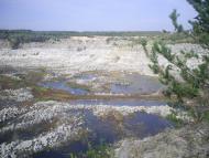 Бушеве з panoramio.com - Бушево