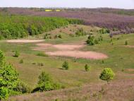 Всесвятське з panoramio.com