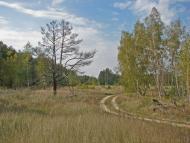 Жирки з panoramio.com