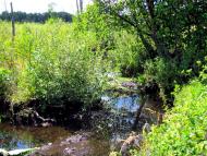 Рудка з panoramio.com