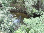 природа села