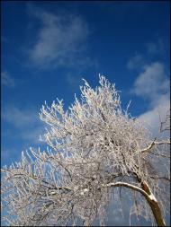 Перлявка з panoramio.com