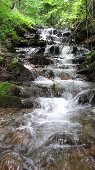 Біласовиця з panoramio.com