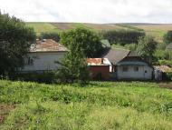 Діброва з panoramio.com