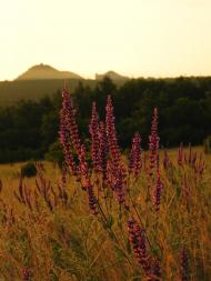 Червоний Жовтень - Останні фото
