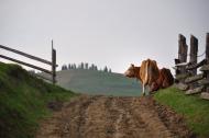 Замагора з panoramio.com - Замагора