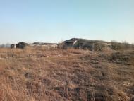 Пиняни з panoramio.com