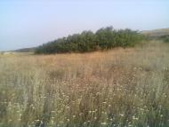 природа села