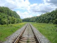 Жищинці з panoramio.com