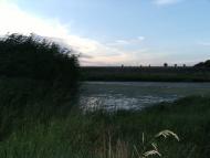 Козацьке з panoramio.com