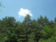 Пологи-Низ з panoramio.com