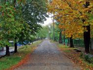 Ізварине - Останні фото