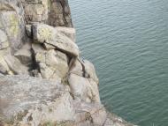 Вишевичі з panoramio.com