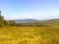 Пшеничники з panoramio.com