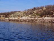 Новорозанівка з panoramio.com