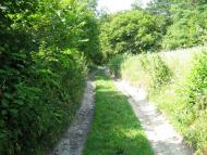 Пуків з panoramio.com