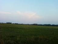 Рівнинне з panoramio.com