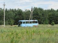 Самари-Оріхові з panoramio.com