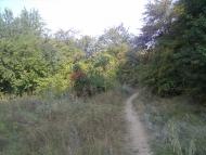 Сиротенки з panoramio.com