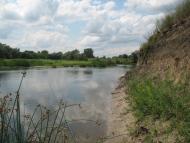 Синичине з panoramio.com