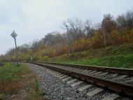 Вільхівчик з panoramio.com