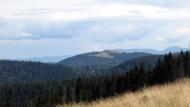 Мислівка з panoramio.com - Мысливка