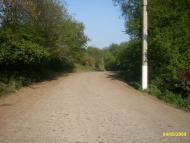 Тростянці з panoramio.com