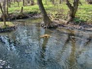 Ясенівський з panoramio.com