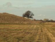 Маячка - Останні фото