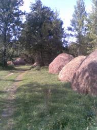 Котира з panoramio.com