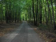 Гранітне з panoramio.com