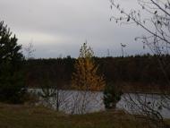 Перлявка з panoramio.com