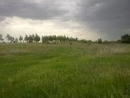 Павлівка з panoramio.com
