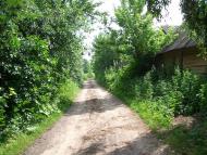 Алтинівка з panoramio.com