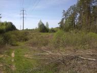 Собичеве з panoramio.com