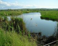 Юрківка з panoramio.com