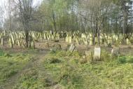 Долішнє Залуччя з panoramio.com