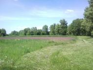 Кошари з panoramio.com