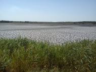 Дзержинське з panoramio.com