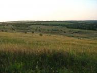 Мишурин Ріг з panoramio.com - Мишурин Рог