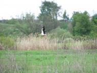 Шубіне з panoramio.com