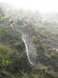 Мельничне з panoramio.com