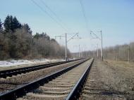 Коричинці з panoramio.com