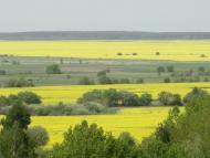 Веселе з panoramio.com