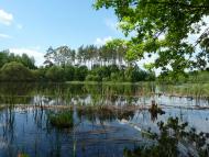 Мізяківська Слобідка з panoramio.com